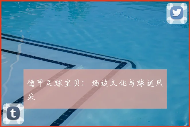 德甲足球宝贝:场边文化与球迷风采